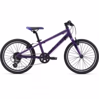 Bicicleta pentru copii Giant ARX