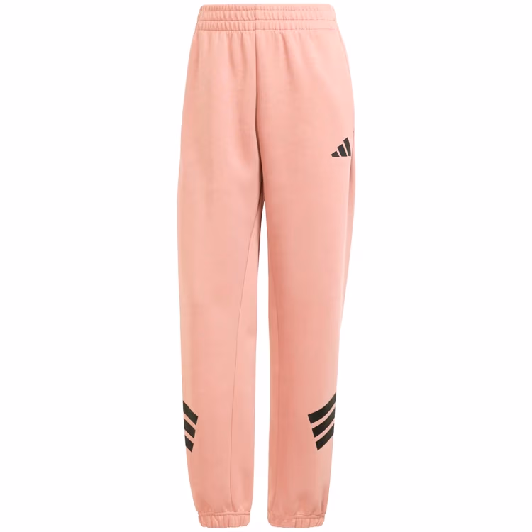 Брюки Adidas W FI 3S REG PT