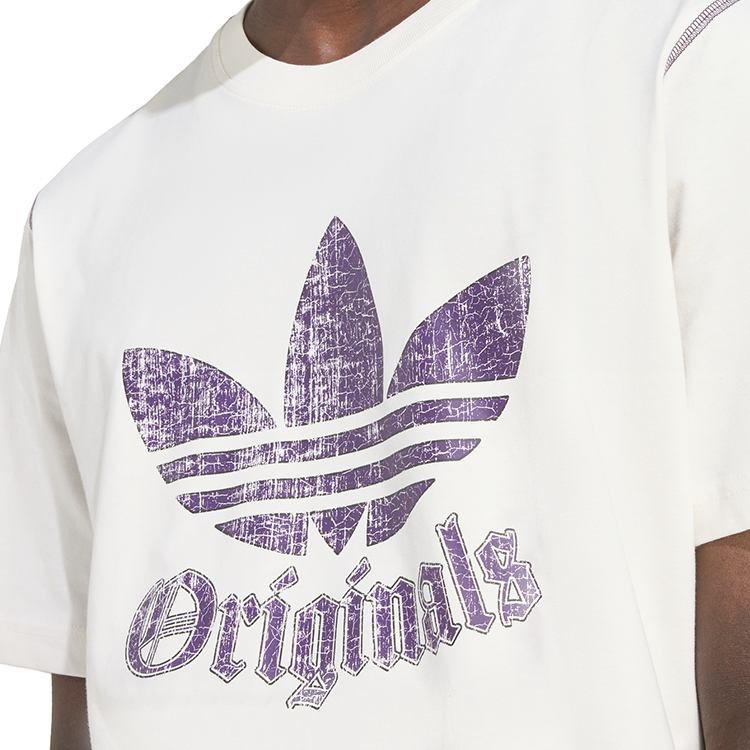 Футболка мужская Adidas GRFX TEE XS Белый photo 3