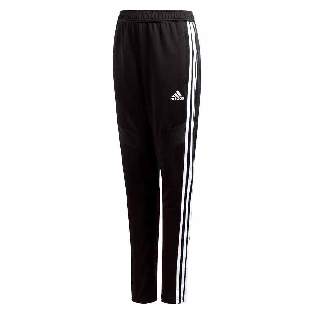 Брюки Adidas TIRO19 TR PNTY
