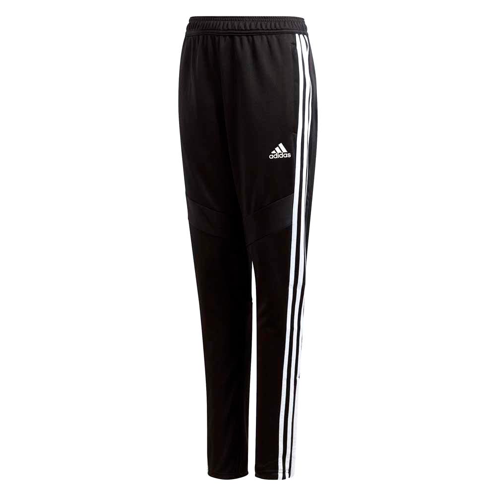 Брюки Adidas TIRO19 TR PNTY photo 1 Брюки Adidas TIRO19 TR PNTY photo 1