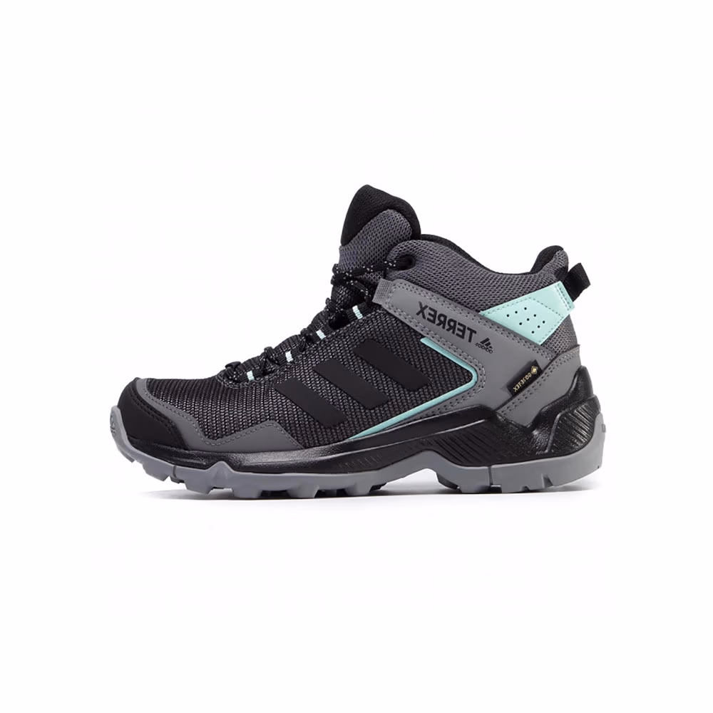 Incaltaminte Sport Adidas TERREX EASTRAIL MID GTX W