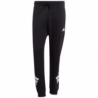 Брюки Adidas M FI 3S PT