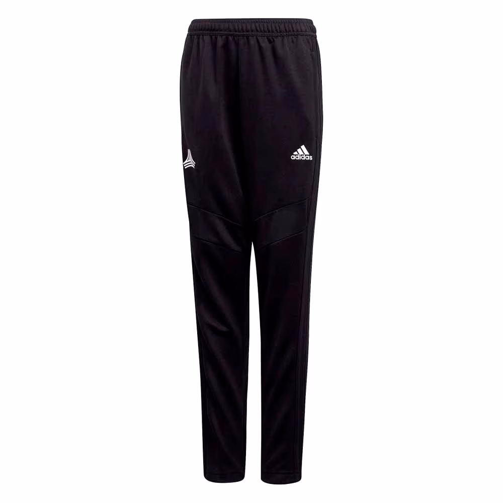 Брюки Adidas TAN TR PANT Y