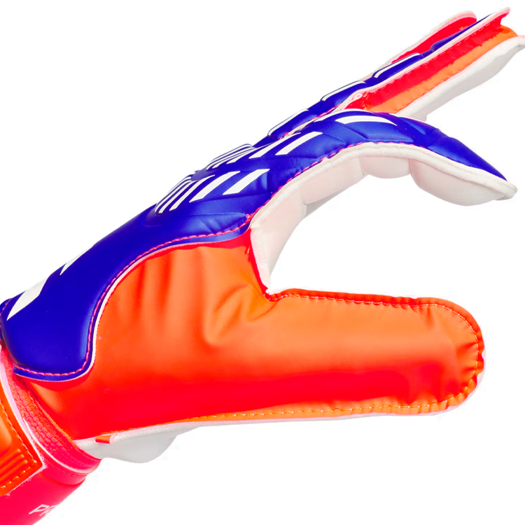 Перчатки вратарские Adidas PRED GL TRN Синий photo 3