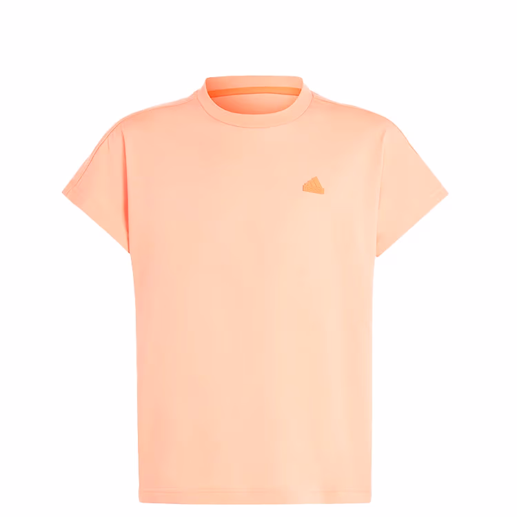Футболка Adidas U CE Q2 TEE