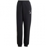 Брюки Adidas W BLUV Q3 FL PT thumbnav