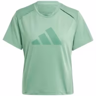 Футболка Adidas POWER BL TEE