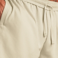 Шорты Under Armour UA Rival Waffle Short thumbnav 4