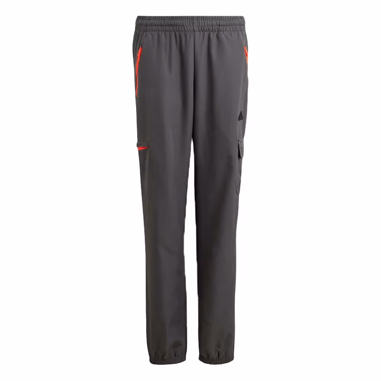 Брюки Adidas U CE Q2 CRGO PT