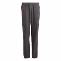 Брюки Adidas U CE Q2 CRGO PT