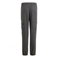 Брюки Adidas U CE Q2 CRGO PT thumbnav 2
