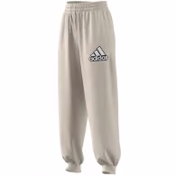 Pantaloni Adidas W BLUV Q1 PT