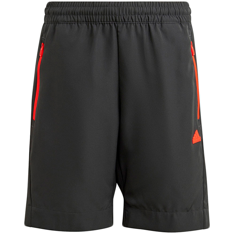 Sorti Adidas U CE Q2 SHORT photo 1