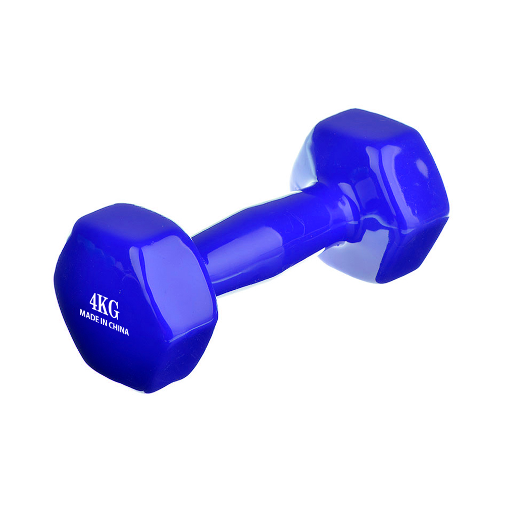 Gantera 4 kg SILAPRO Dumbbell 4 kg photo 1
