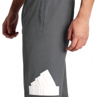 Pantaloni Adidas M FI BOS PT thumbnav 3