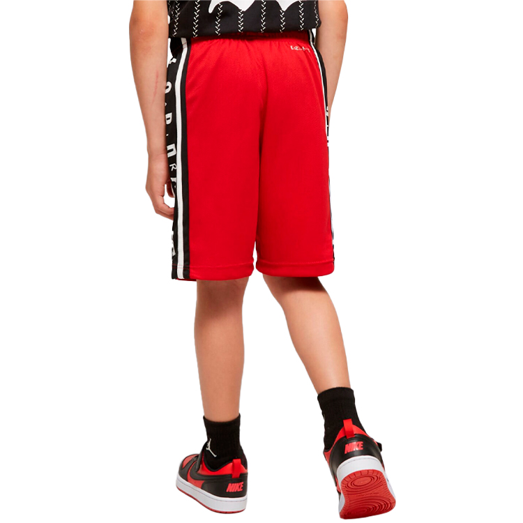 Шорты Nike JDB AIR JORDAN HBR BBALL SH / Мужской / S / Красный photo 3