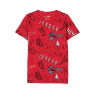 Футболка Nike JORDAN PLAYGROUND thumbnav