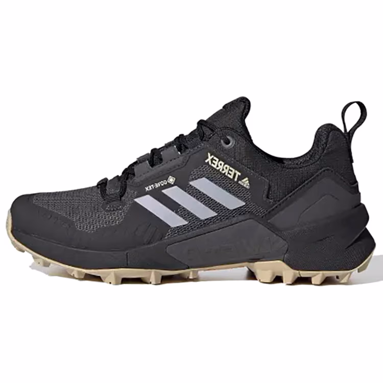 Incaltaminte Sport Adidas Terrex Swift R3 Gtx W