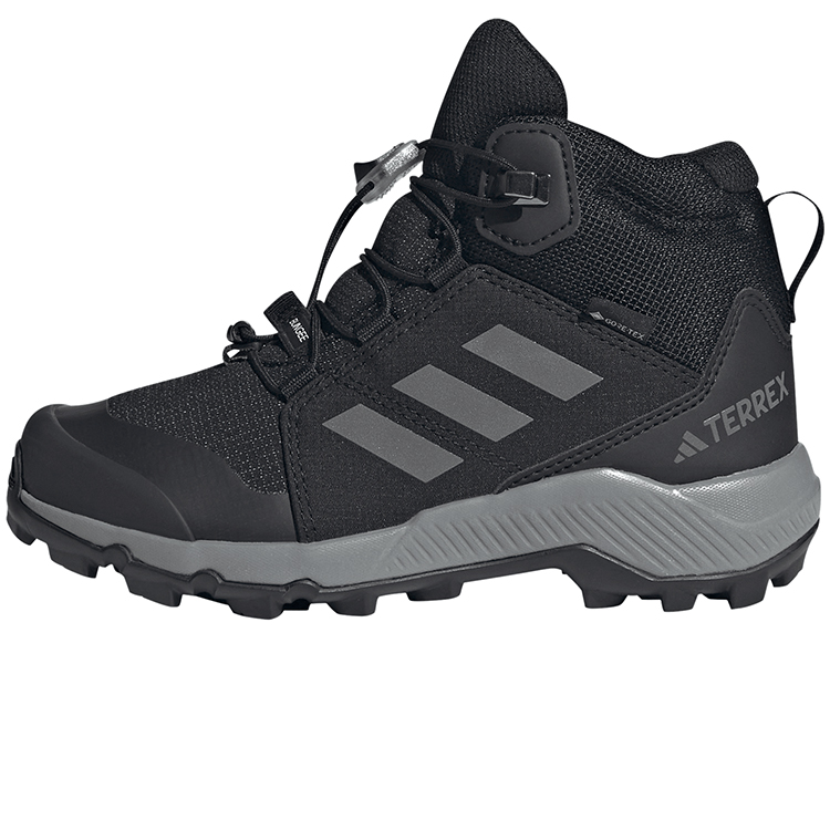 Ботинки Adidas TERREX MID GTX K photo 