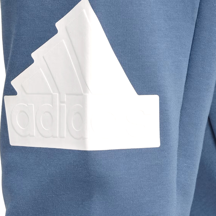 Pantaloni Adidas M FI BOS PT M Albastru Barbati photo 5