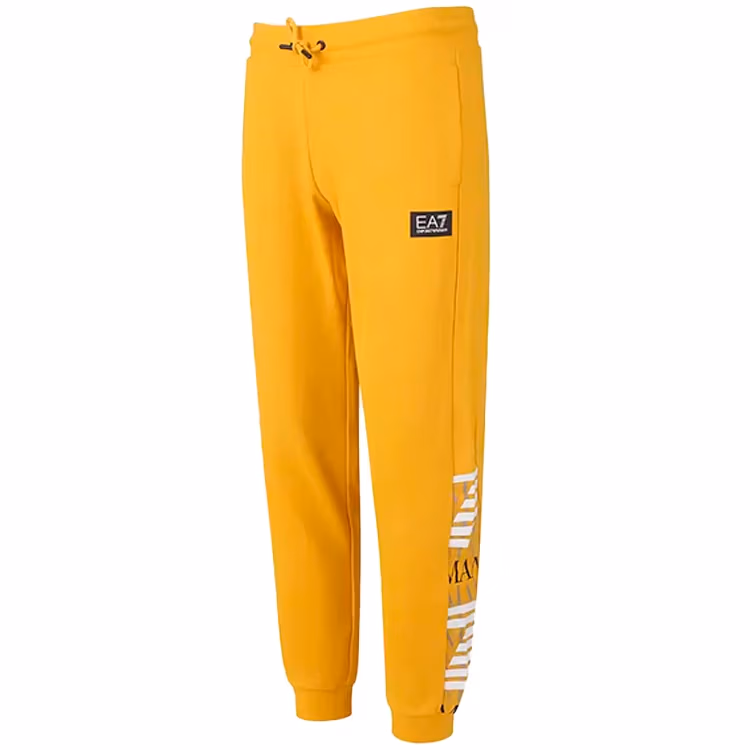 Брюки EA7 EMPORIO ARMANI PANTALONI