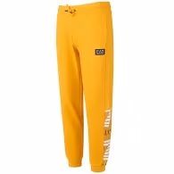 Брюки EA7 EMPORIO ARMANI PANTALONI