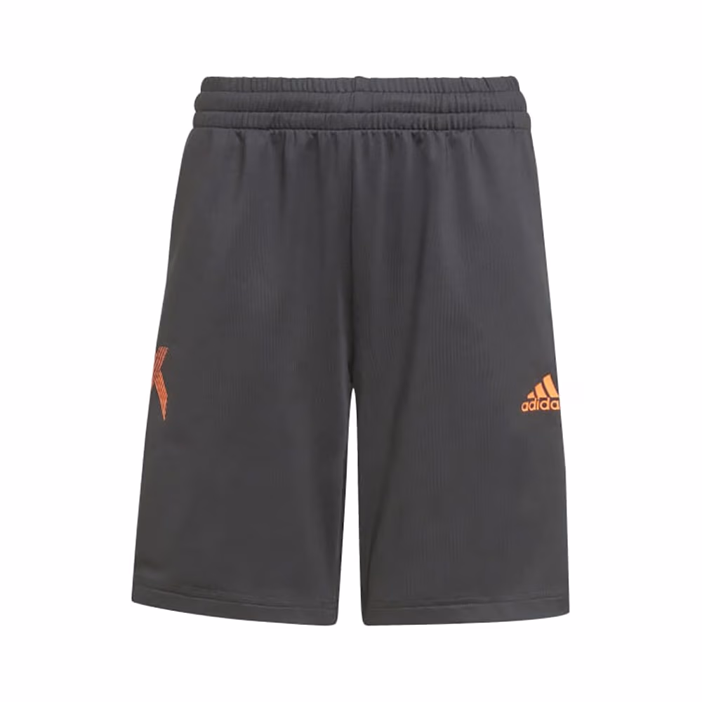 Шорты Adidas B AR X SHORT