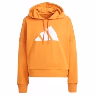 Толстовка Adidas W FI 3B HOODIE
