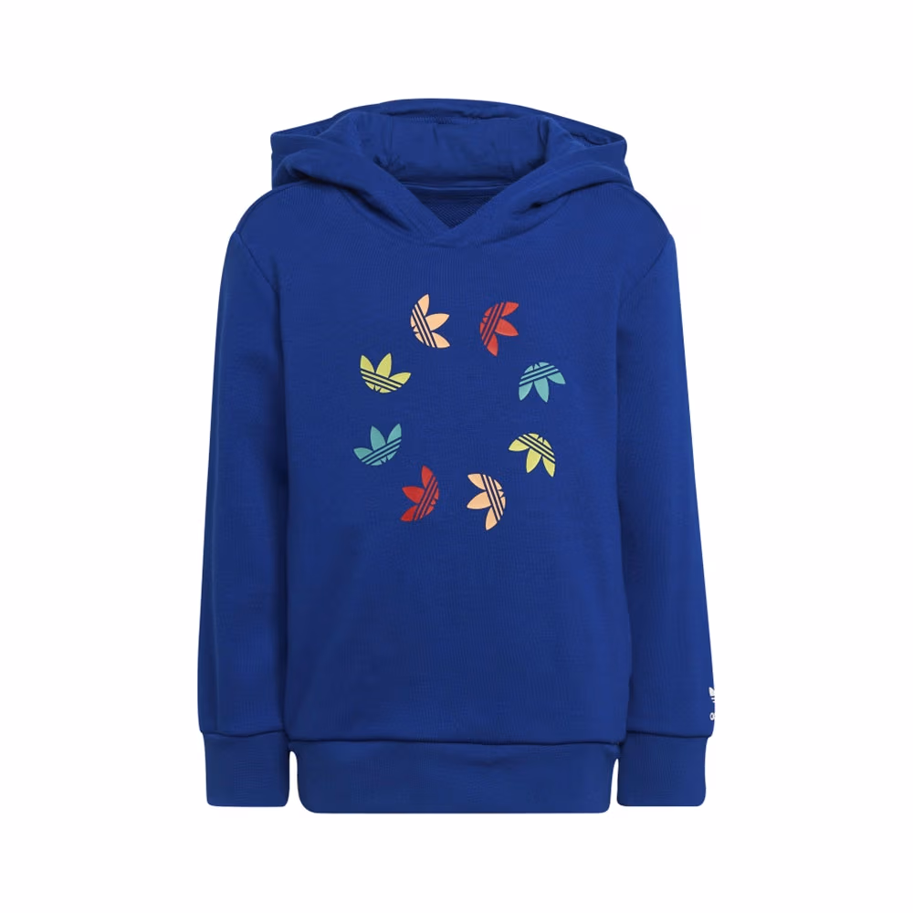 Спортивный костюм Adidas HOODIE SET