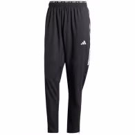 Брюки Adidas OTR E 3S PANT