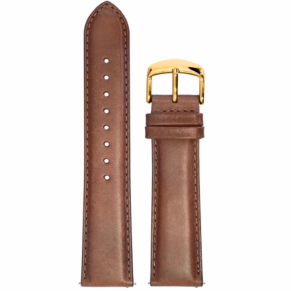 Curea de ceas din piele Pierre Lannier BRA040B2244