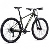Bicicleta profesional Giant Talon 2 thumbnav 2