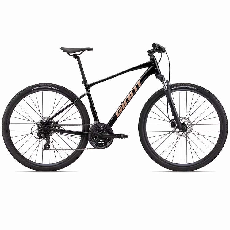 Велосипед дорожный Giant Roam 4