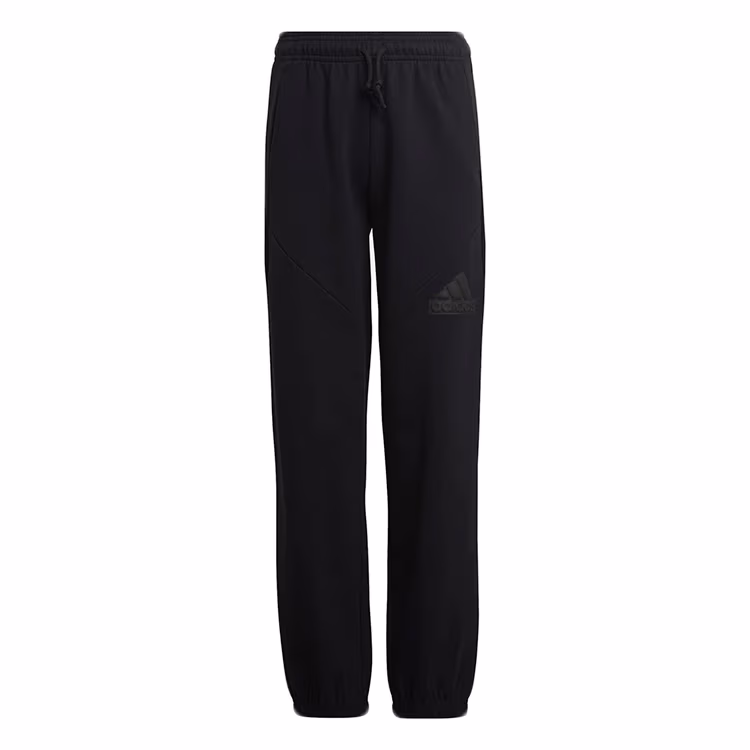 Pantaloni Adidas U FI LOGO PT