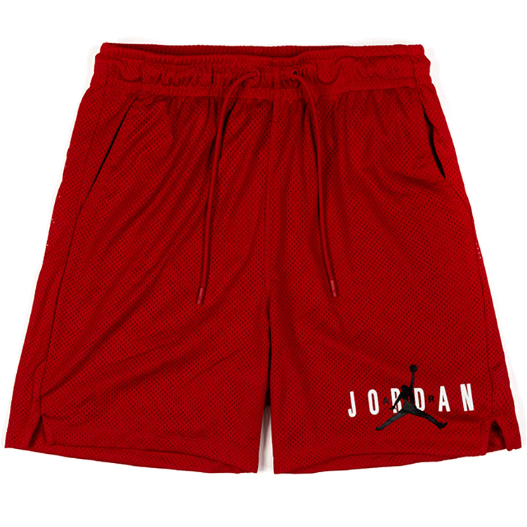 Шорты Nike M J ESS MESH GFX SHORT photo 