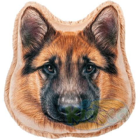 STIP-Perna caine Shepherd photo 1