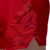 Шорты Nike M J DF SPRT WVN DMND SHORT thumbnav 5