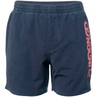 Шорты для плавания Fundango Bono Beach Shorts thumbnav 2