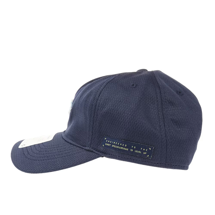 Chepiu Nike NAN GRIDIENT CURVE BRIM CAP 4-7 Albastru photo 4