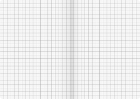 Carnet A5 negru FACT! Plus patratele 96 de foi Brunnen thumbnav 2