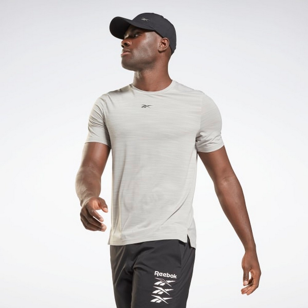 Футболка мужская Reebok TS AC SOLID MOVE S Серый photo 2