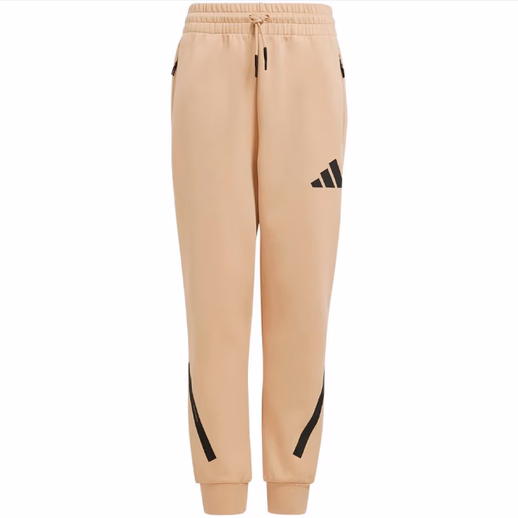 Брюки Adidas J Z.N.E. PT