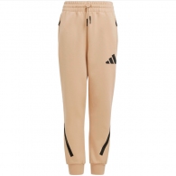 Брюки Adidas J Z.N.E. PT thumbnav 1