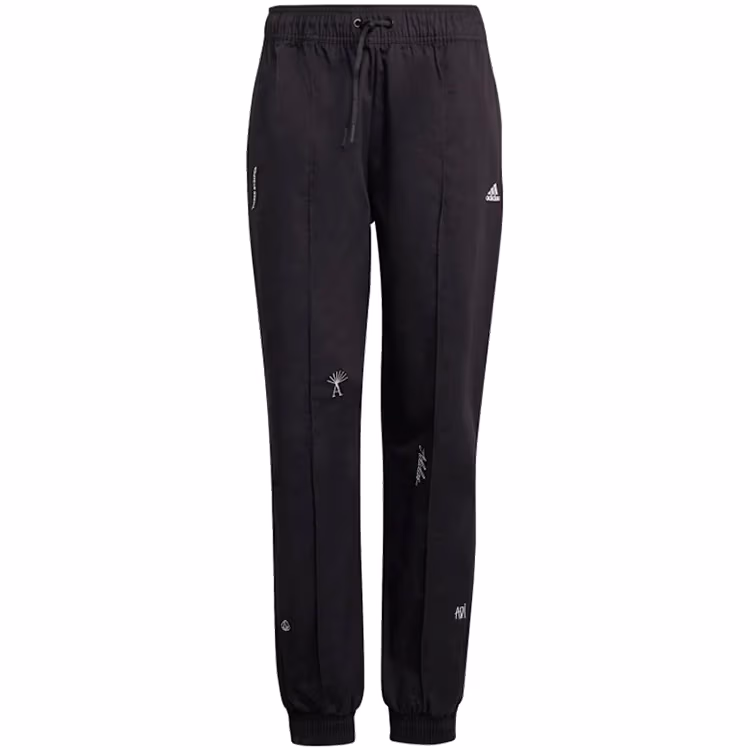 Брюки Adidas BLUV Q1 B PT