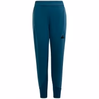 Брюки Adidas J Z.N.E. PT