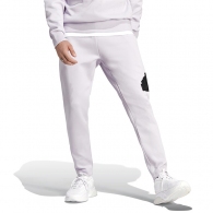 Брюки Adidas M FI BOS PT thumbnav 2