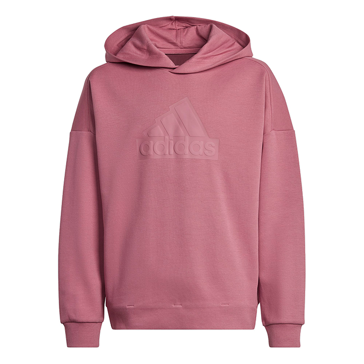 Толстовка Adidas U FI LOGO HD photo Толстовка Adidas U FI LOGO HD photo