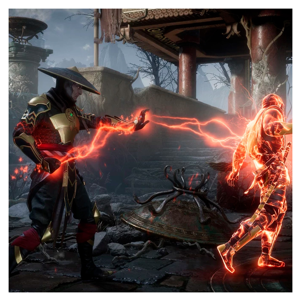 Mortal Kombat 11 Ultimate Edition PlayStation 5 18+ photo 2