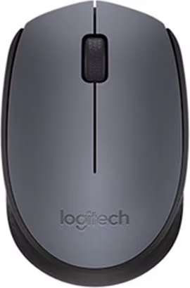 Mouse fara fir Logitech Wireless M170 Gray 